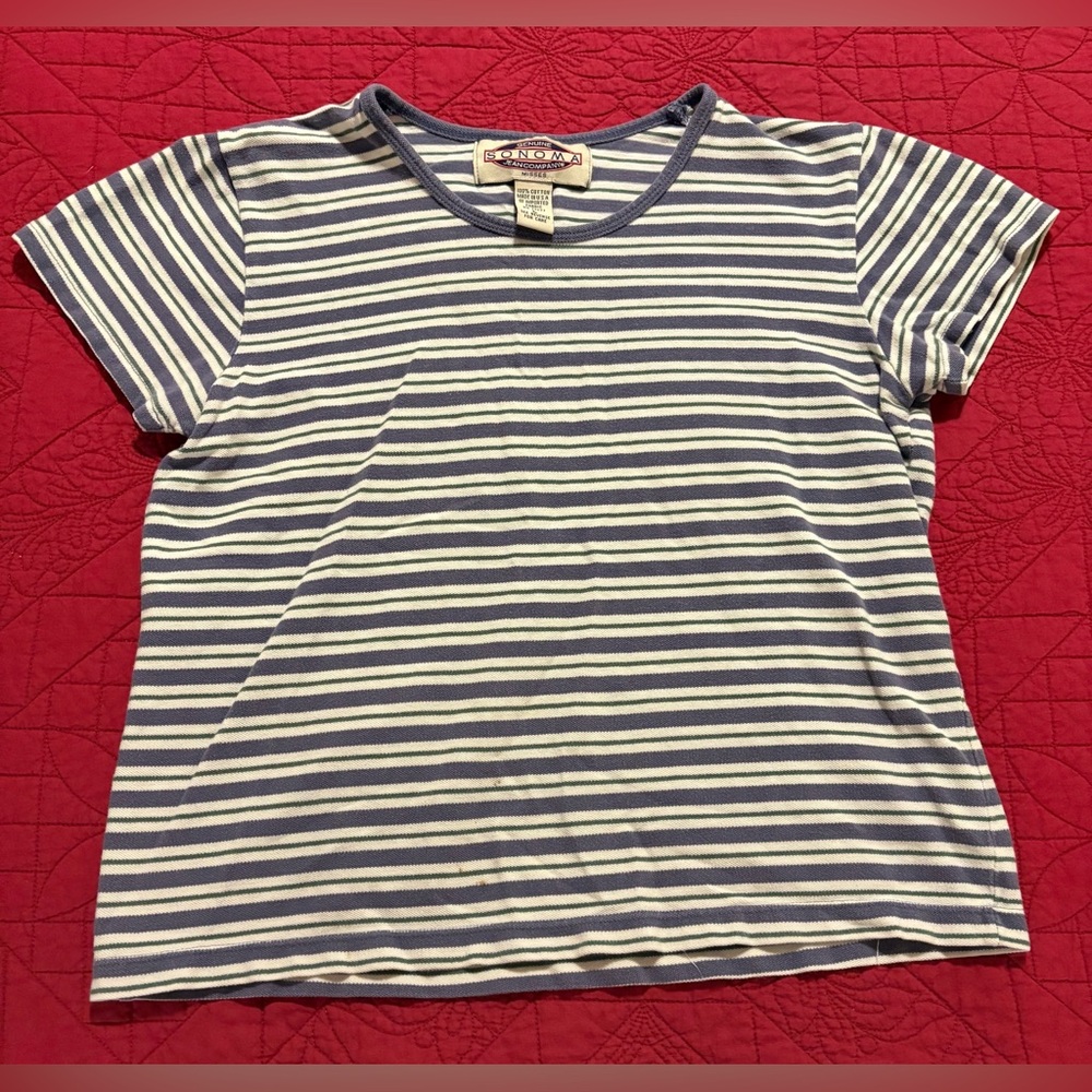 Vintage Blue, Green, and White Striped Top